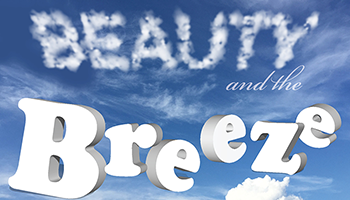 More Info for Families Create! Beauty and the Breeze