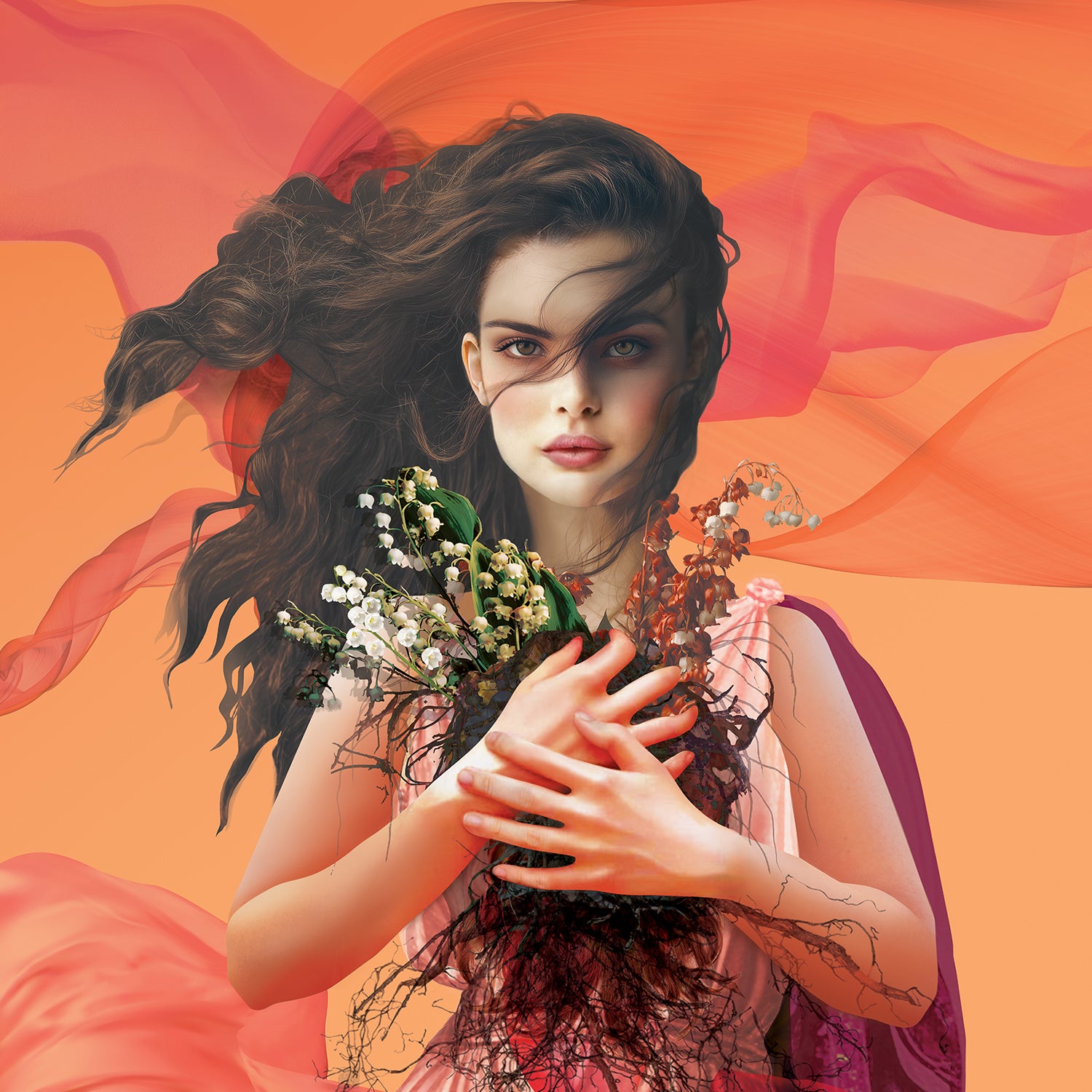 More Info for Salome