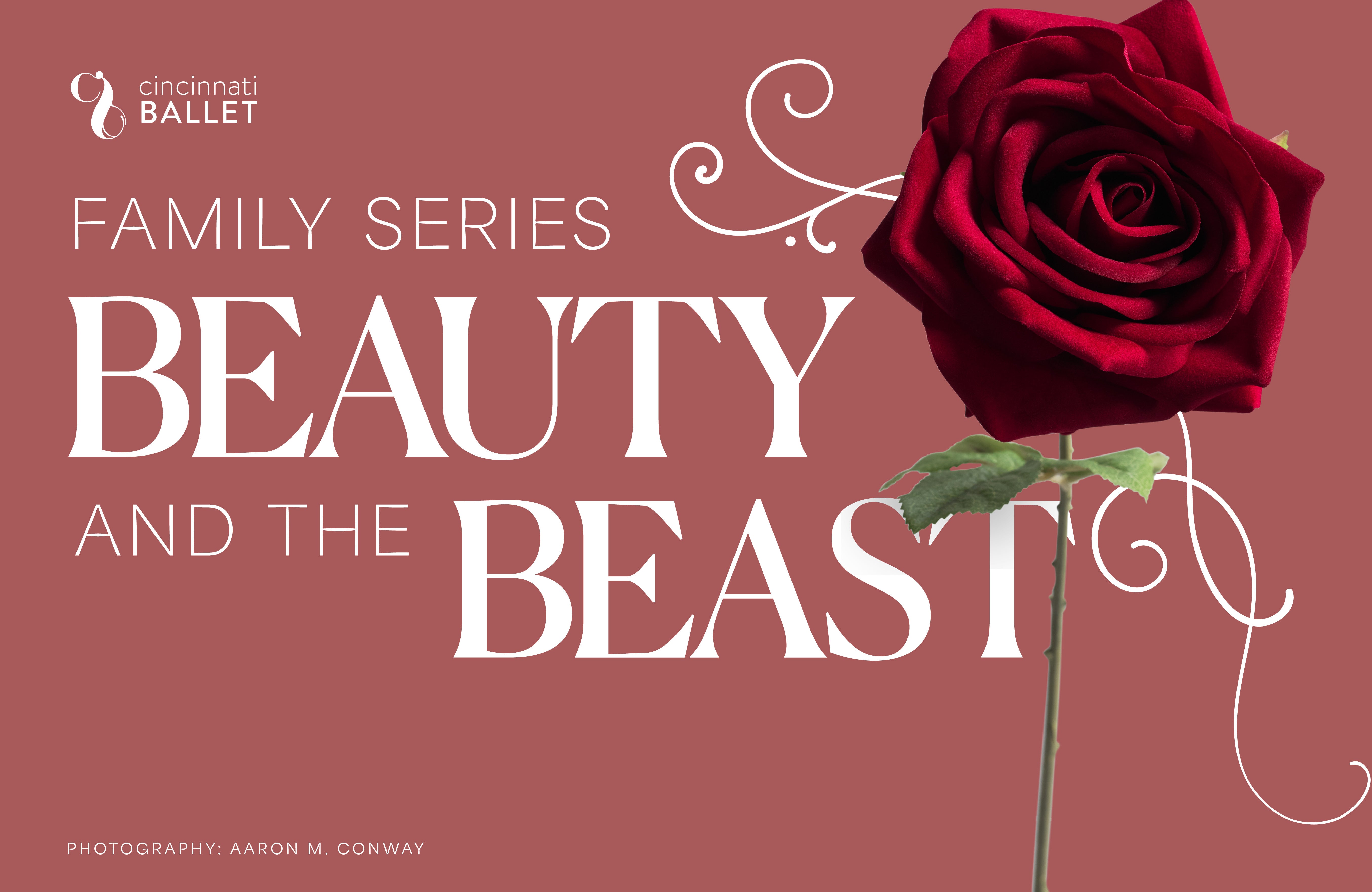 Family Series: Beauty and the Beast
