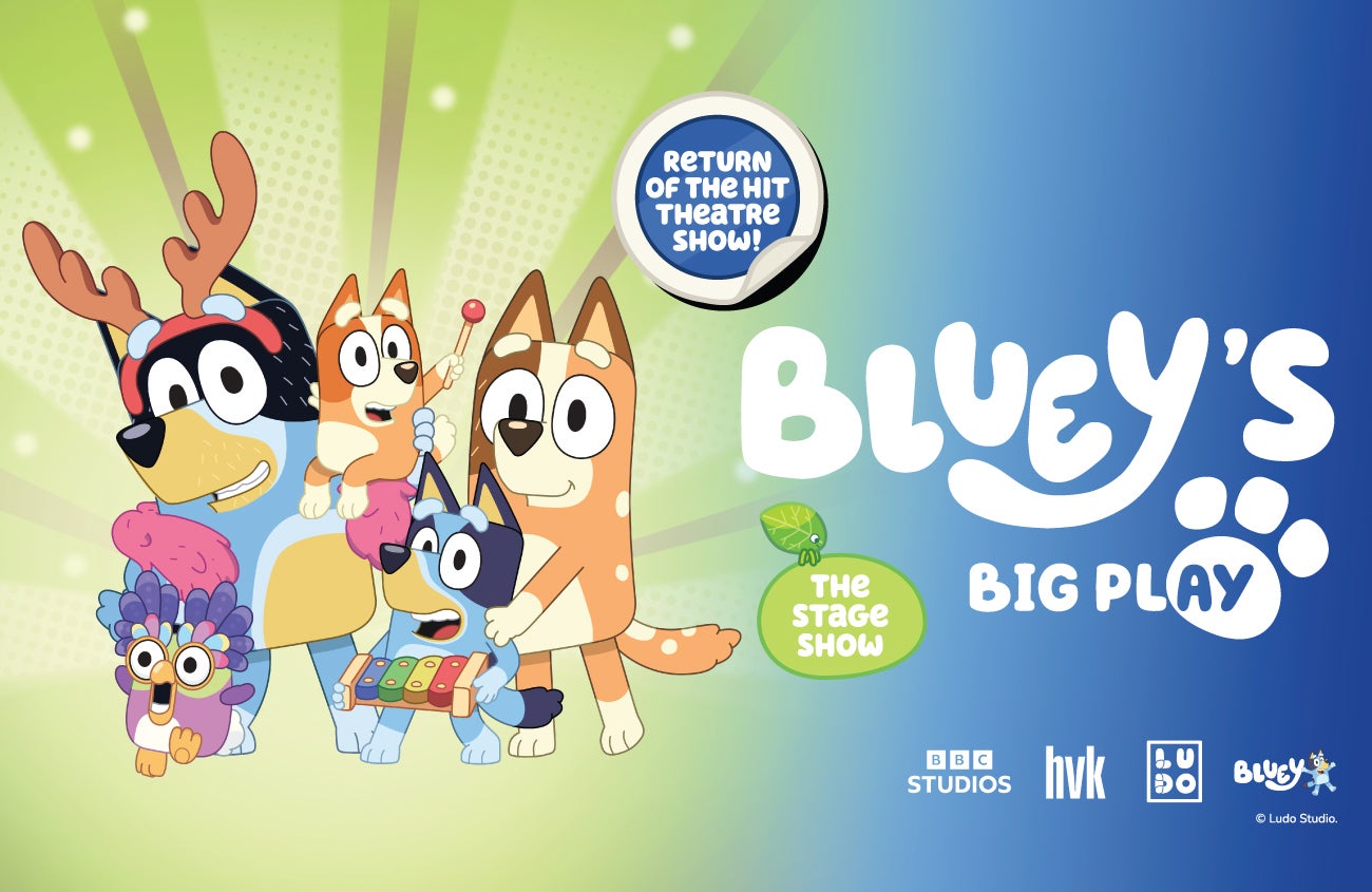 Bluey's Big Play