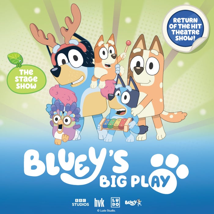 More Info for Bluey's Big Play