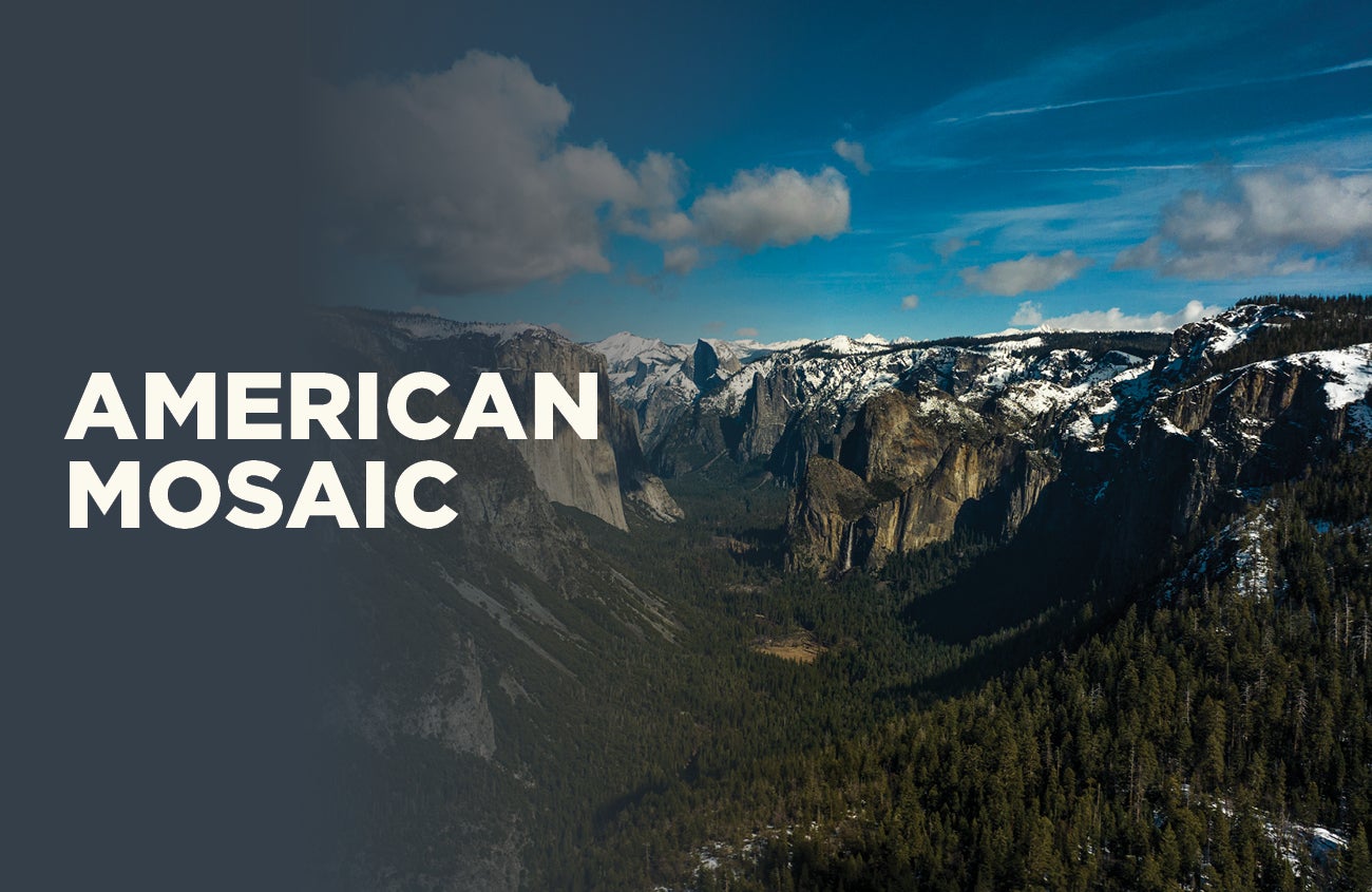 American Mosaic