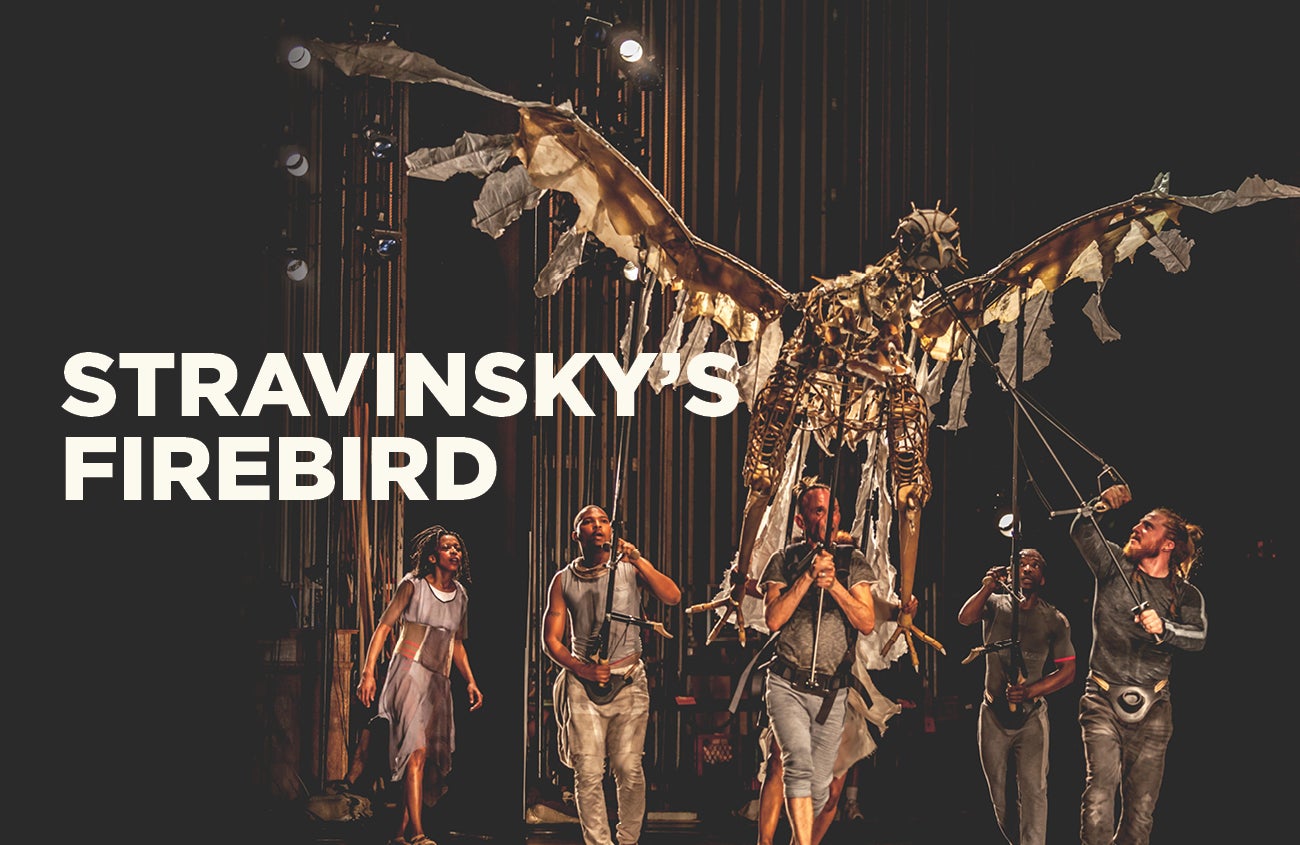 Stravinsky's Firebird