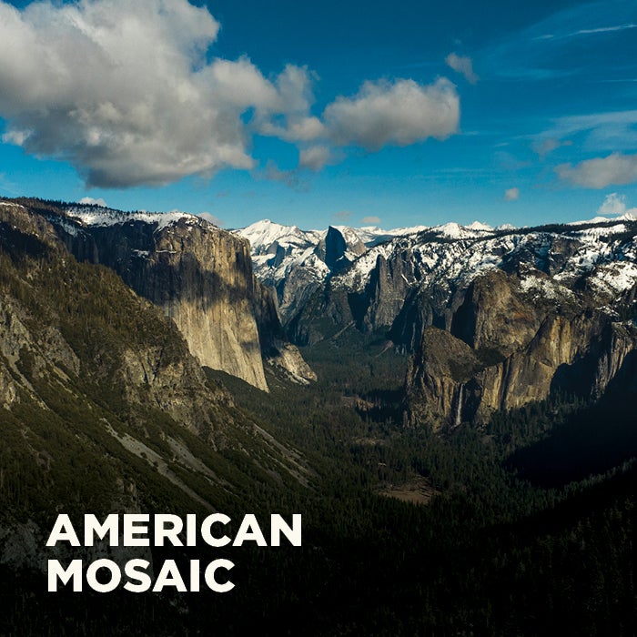 More Info for American Mosaic