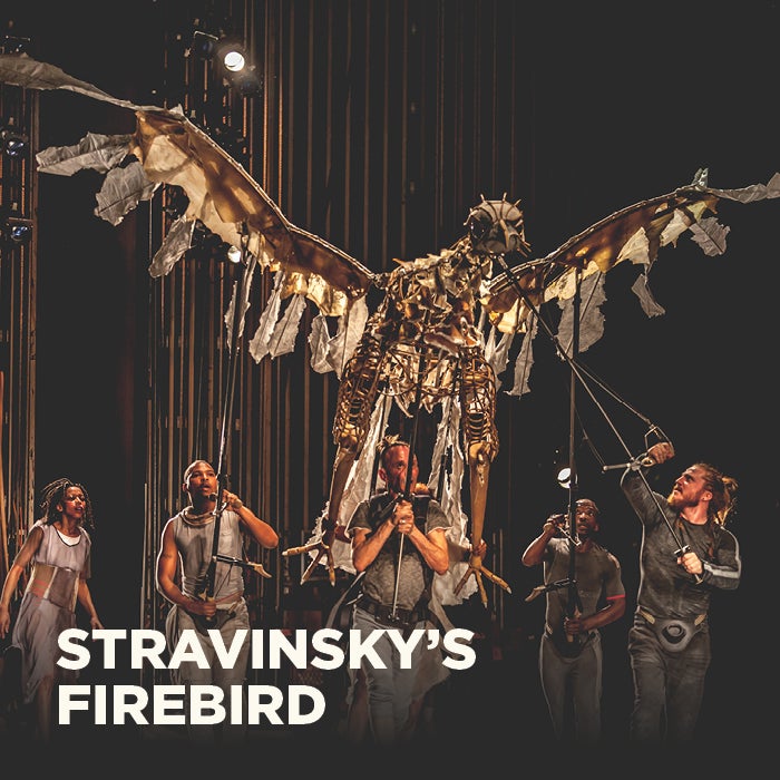 More Info for Stravinsky's Firebird