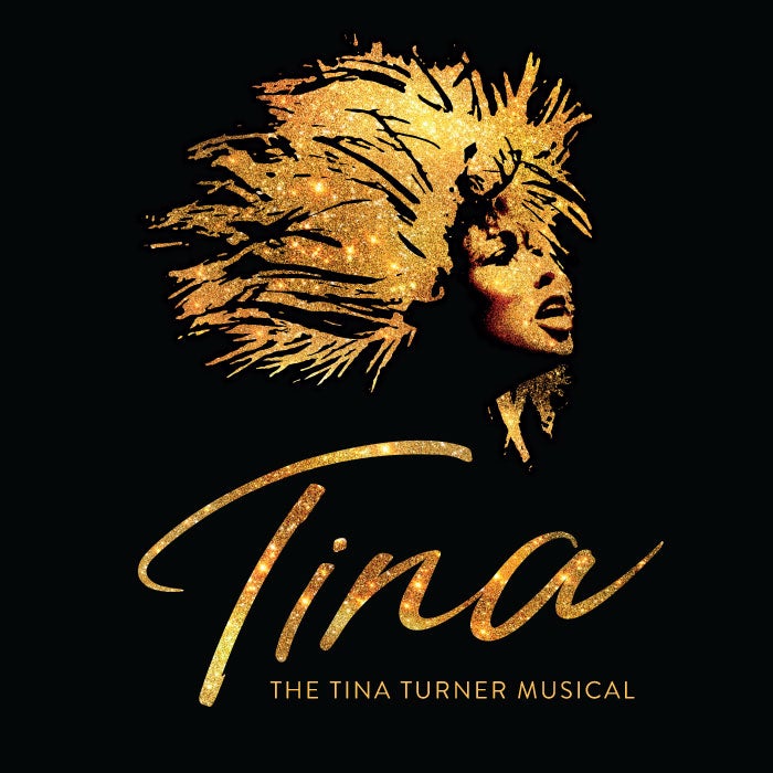 More Info for Tina: The Tina Turner Musical